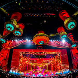 业余性自由摘花毛茸茸高清
